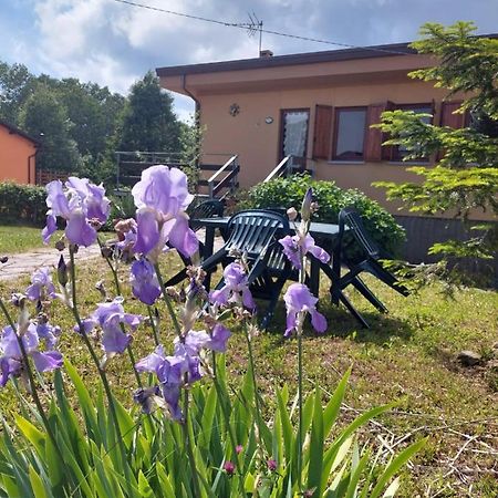 Chalet Grazia Valgiano Eksteriør billede